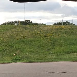 Meet your Posher, Audrey